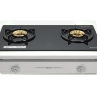 RBTS-227GC(B)傳統系列 嵌入式傳統玻璃雙口爐